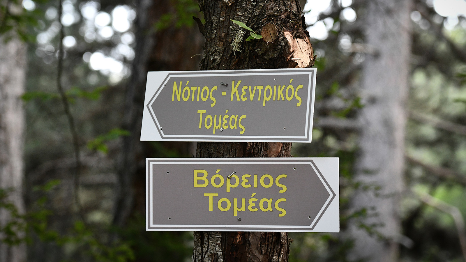 koutsoumpas_nosokomeio_dse-12